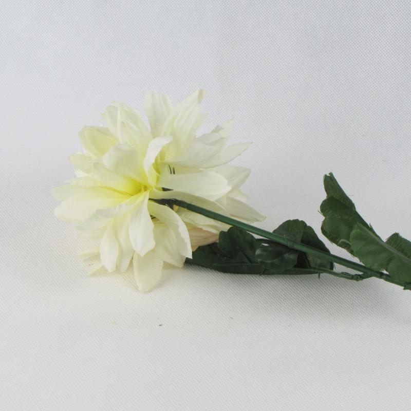 Chryzantema pojedyncza kwiat biały 60cm