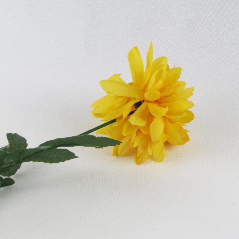 Chryzantema pojedyncza kwiat żółty 60cm