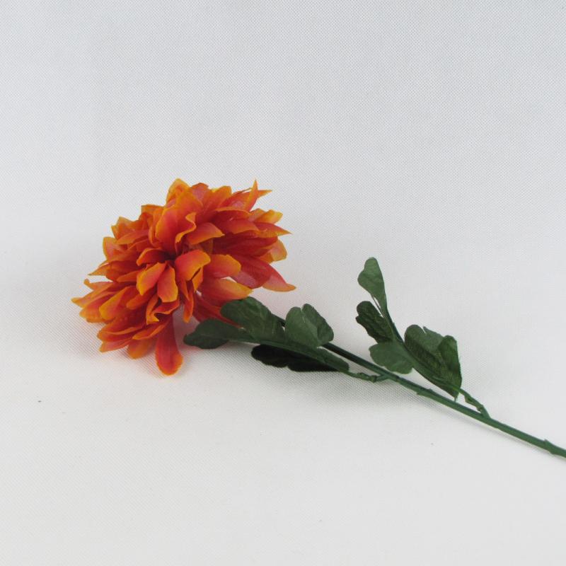Chryzantema pojedyncza kwiat czerwono-pomarańczowy 60cm