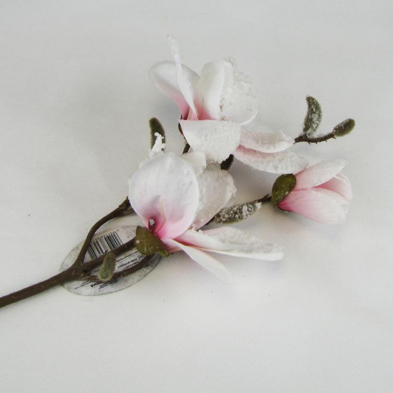 Magnolia gałązka ośnieżona 50cm