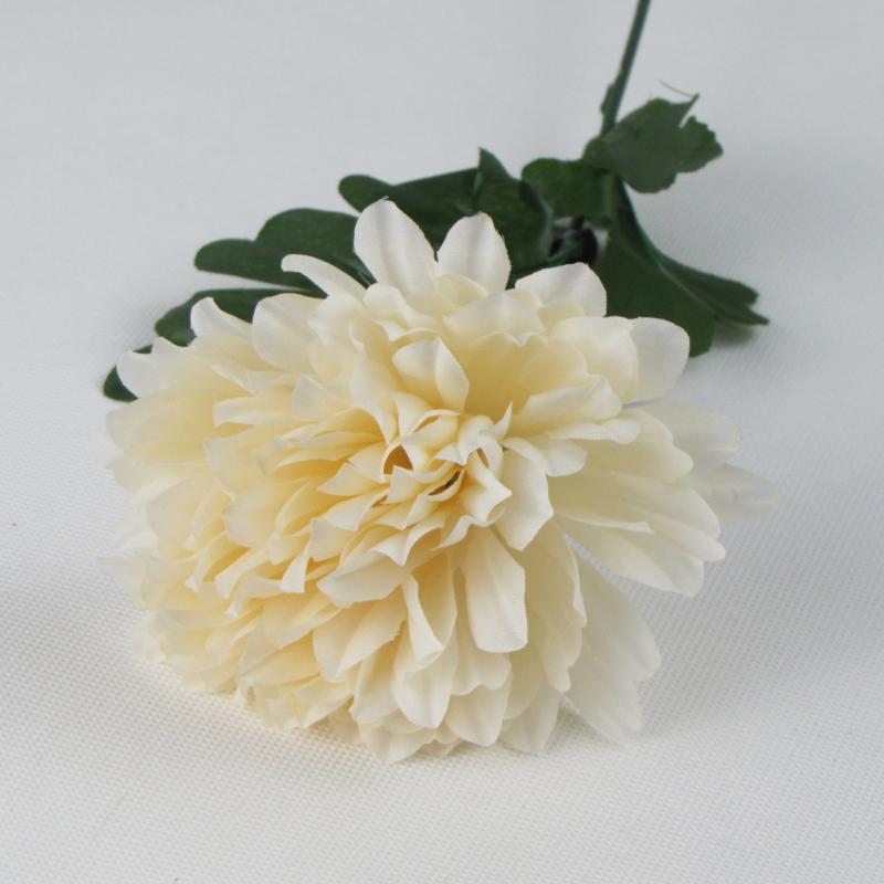 Chryzantema pojedynczy kwiat kremowy 55cm
