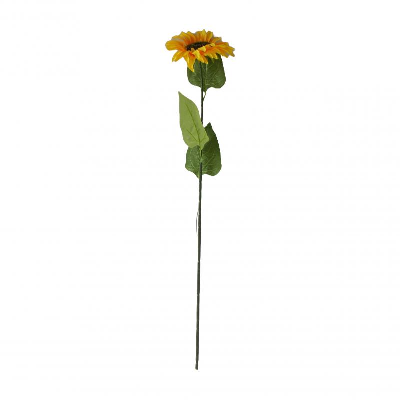 SŁONECZNIK pojedynczy, duży kwiat - 75cm długości