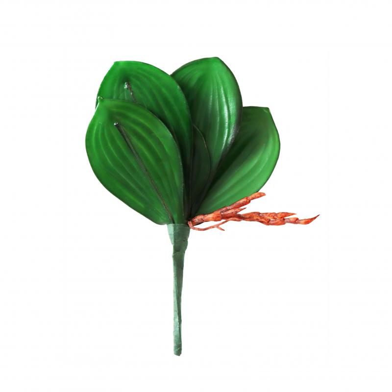 Liście storczyka 20cm