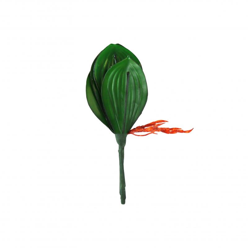 Liście storczyka 20cm