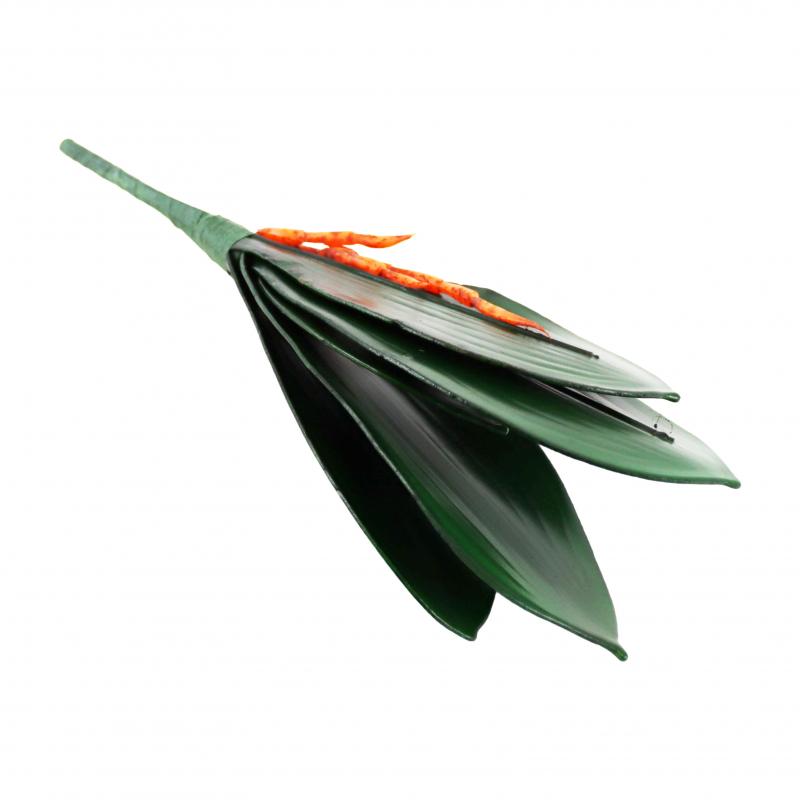 Liście storczyka 25cm